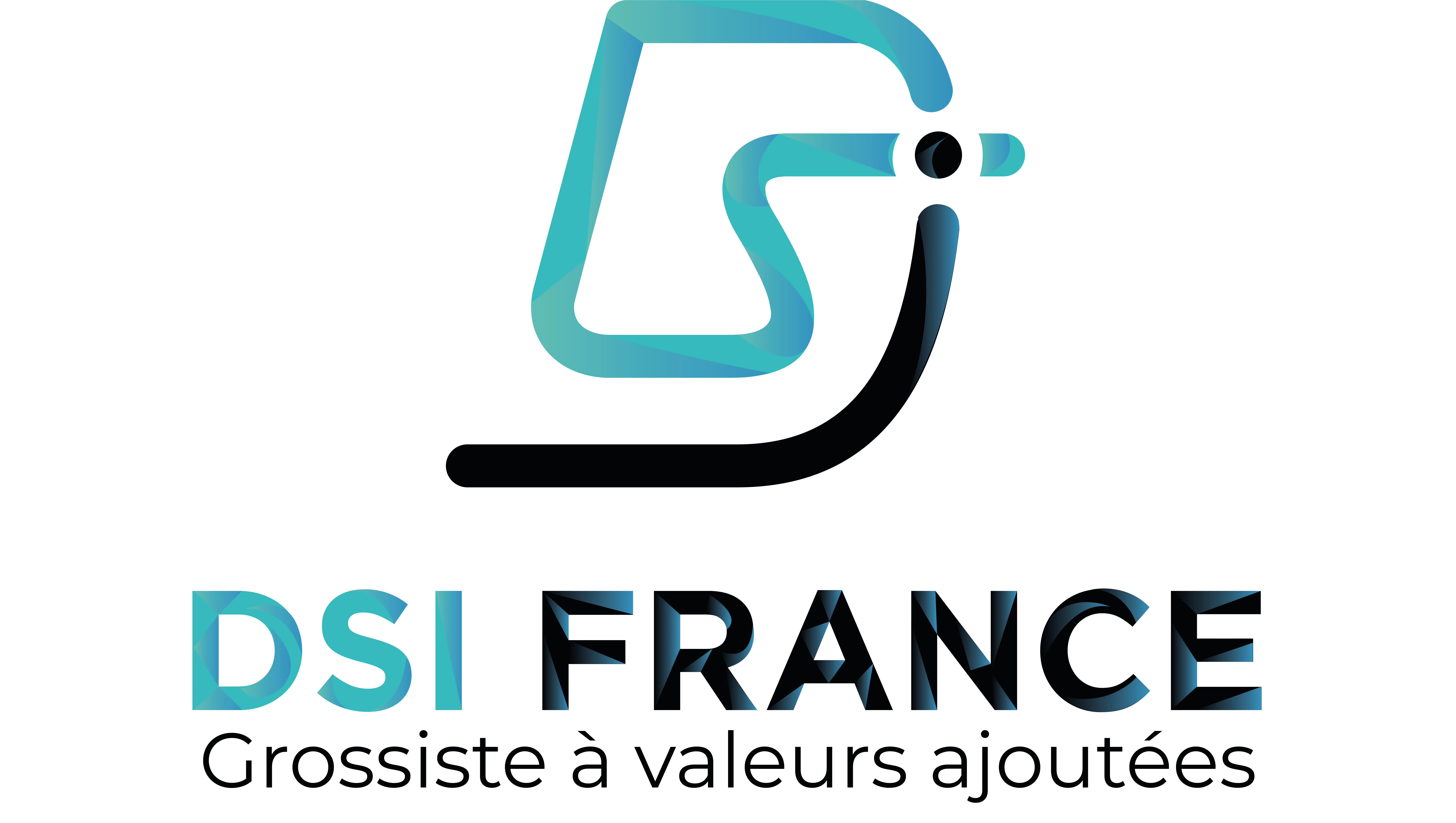 dsi_new_logo