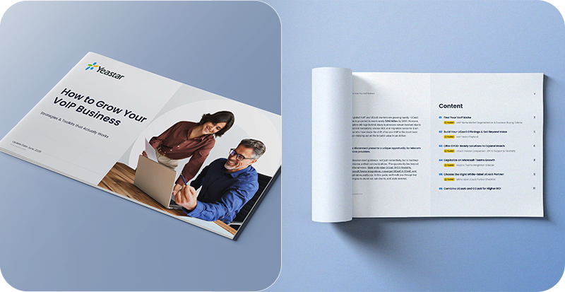 Ebook: How to Grow and Sell VoIP